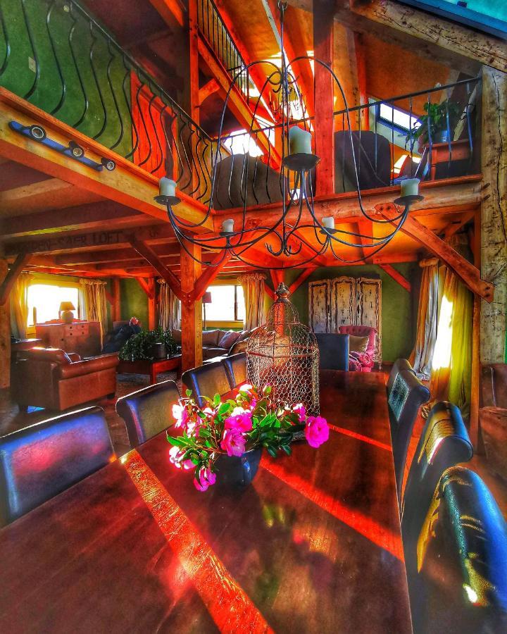 Housewithnonails Bed & Breakfast Matamata Dış mekan fotoğraf