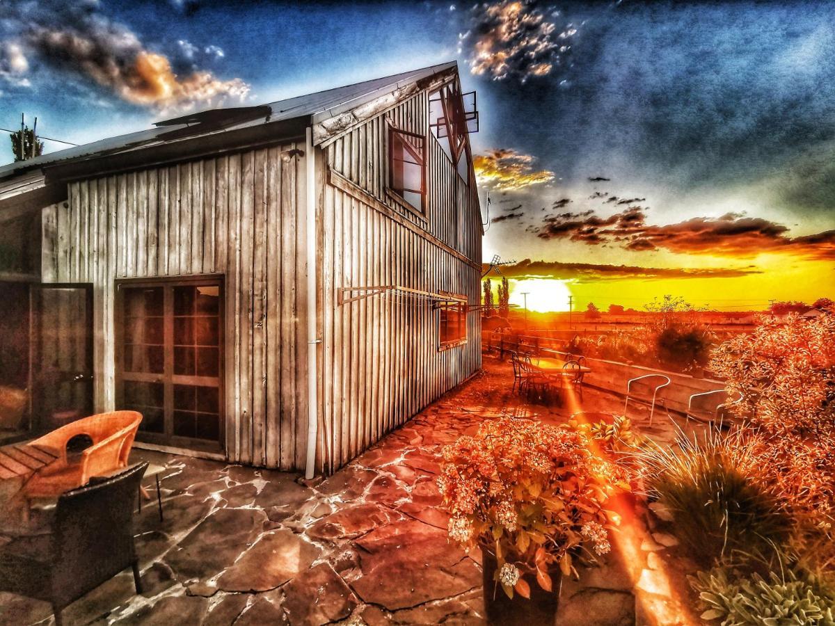 Housewithnonails Bed & Breakfast Matamata Dış mekan fotoğraf