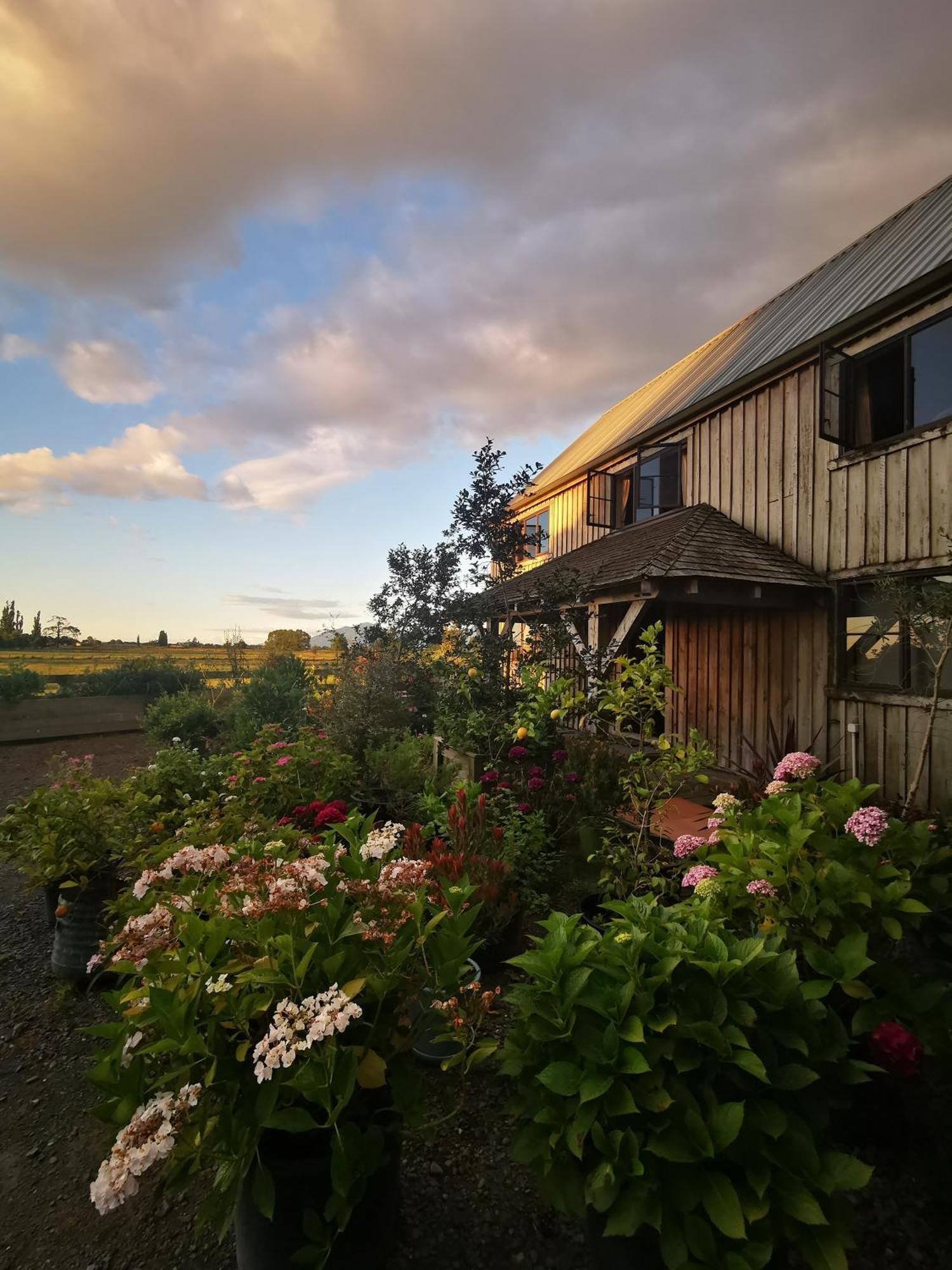 Housewithnonails Bed & Breakfast Matamata Dış mekan fotoğraf